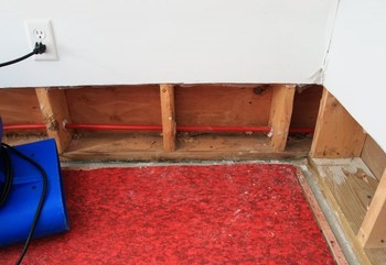 Basement Flood in Mercer Island, Washington